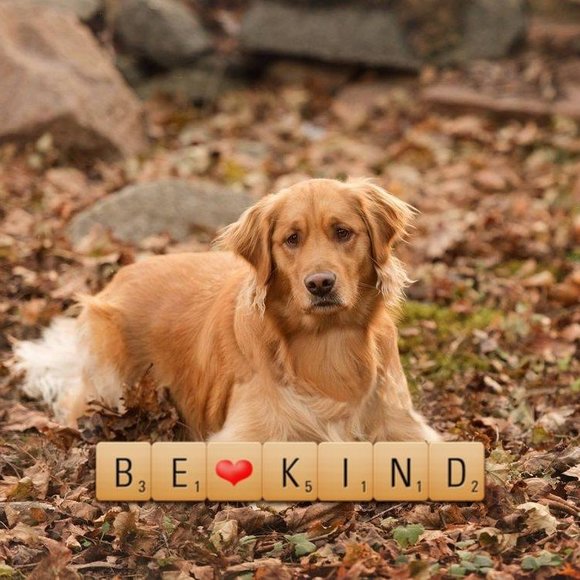 Meet your Posher, Faith e. - Picture 1 of 1